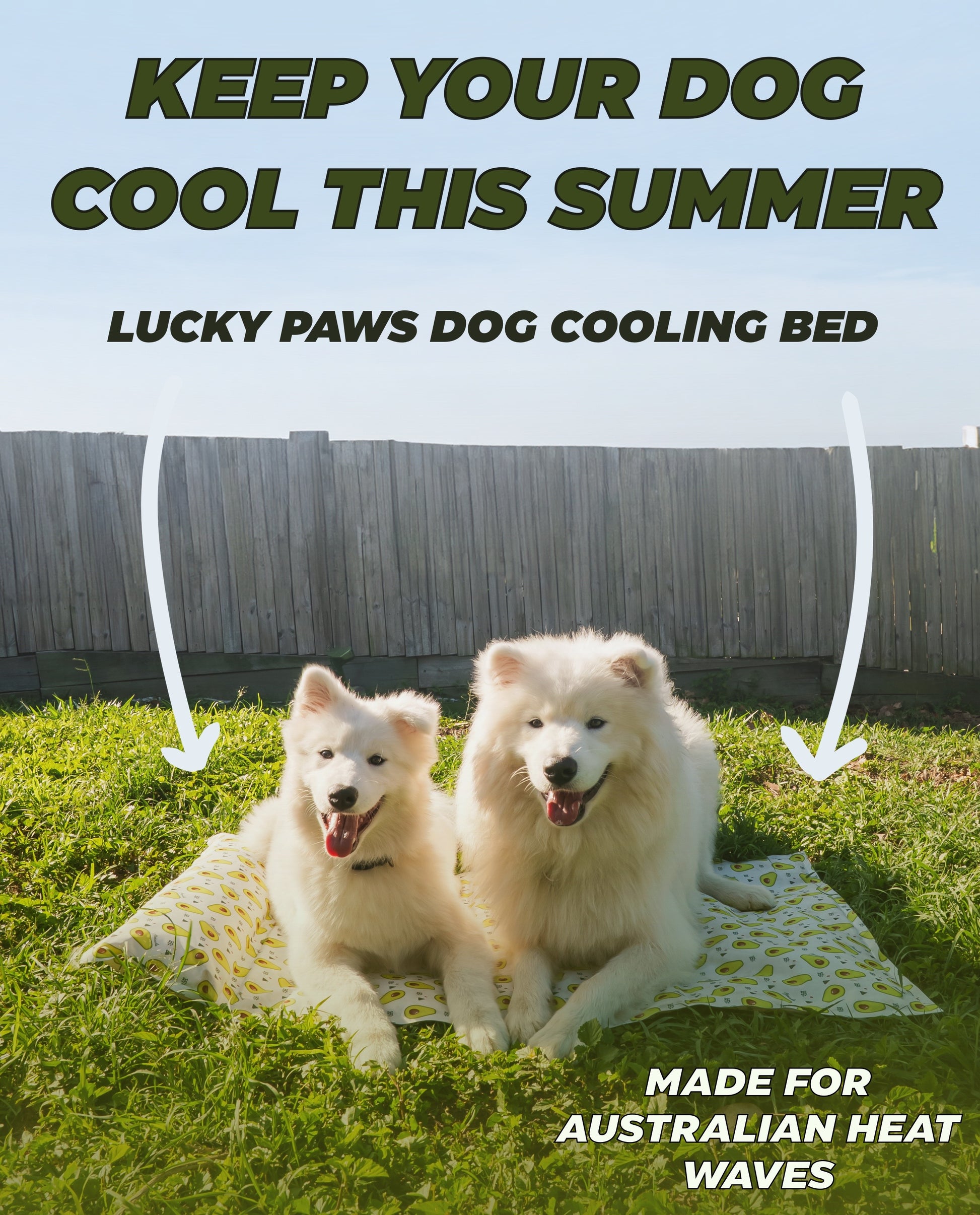 My Store dog cooling bed with a breathable mesh surface and plush edges, ideal for keeping pets comfortable in warm weather.