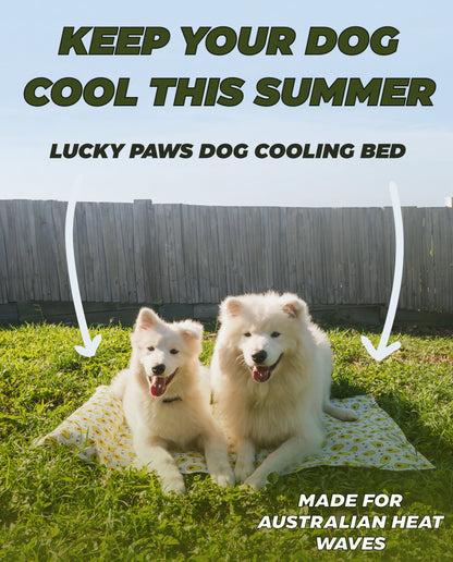 My Store dog cooling bed with a breathable mesh surface and plush edges, ideal for keeping pets comfortable in warm weather.