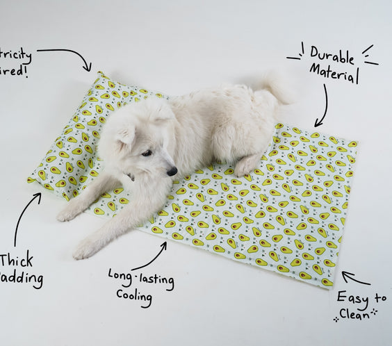 My Store dog cooling bed with a breathable mesh surface and plush edges, designed for comfort in warm weather.