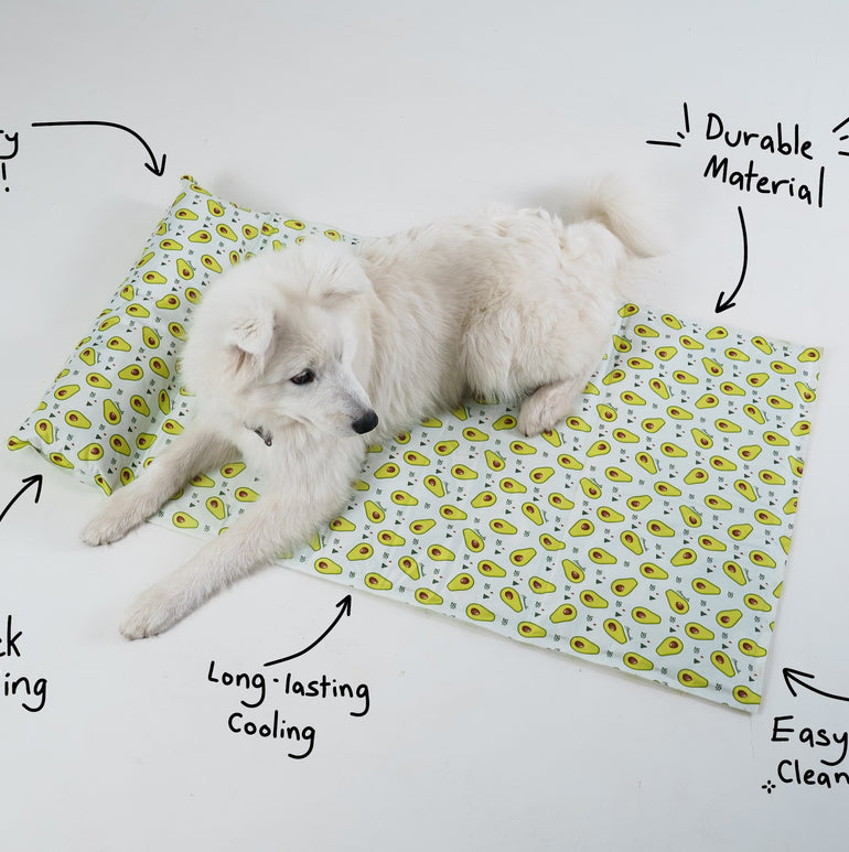 My Store dog cooling bed with a breathable mesh surface and plush edges, designed for comfort in warm weather.