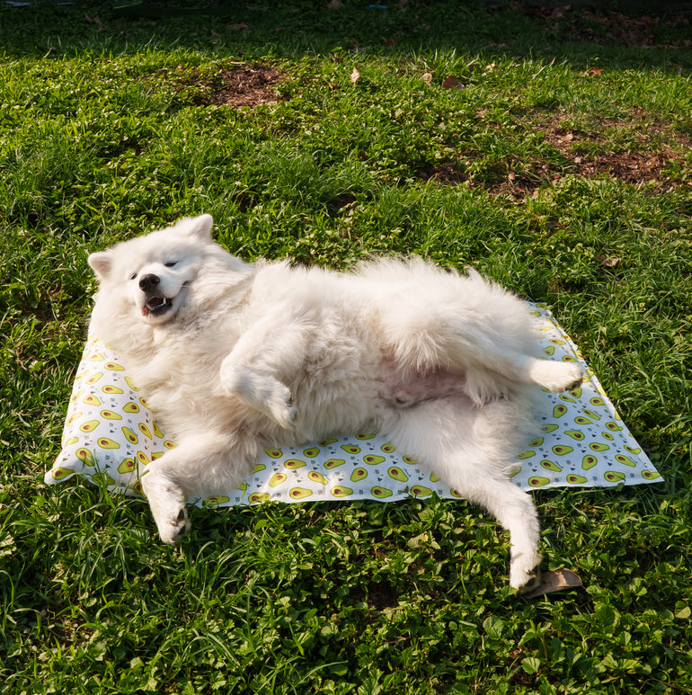 My Store dog cooling bed with a breathable mesh surface and soft edges, ideal for keeping pets cool and comfortable.