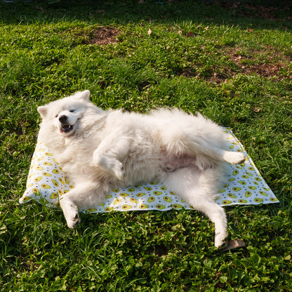 My Store dog cooling bed with a breathable mesh surface and soft edges, ideal for keeping pets cool and comfortable.