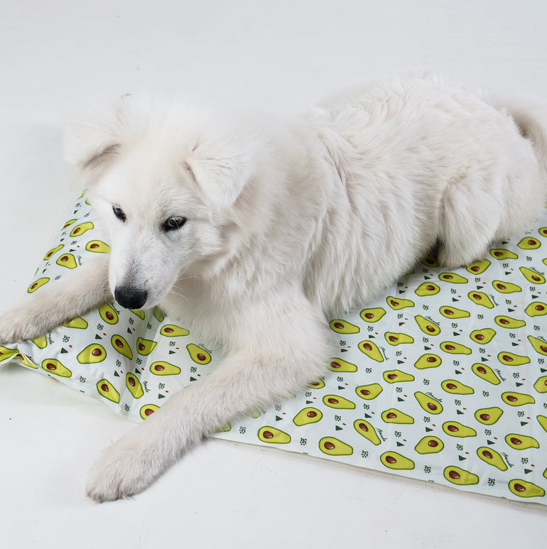 My Store dog cooling bed featuring a breathable mesh surface and cushioned edges for pet comfort in warm weather.