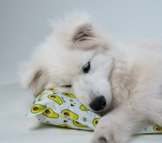 My Store dog cooling bed in a cozy design, featuring breathable fabric and a comfortable surface for pets.