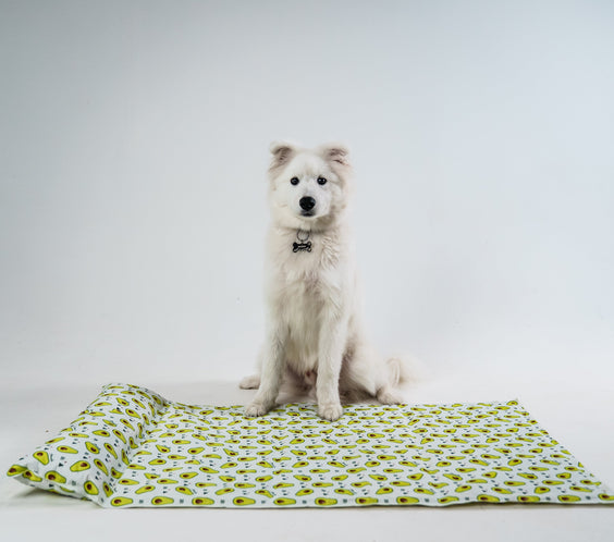 My Store dog cooling bed in a cozy, breathable design with a light blue color, perfect for hot days.