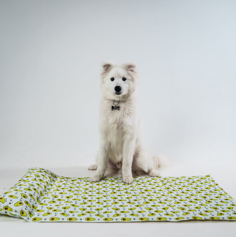 My Store dog cooling bed in a cozy, breathable design with a light blue color, perfect for hot days.