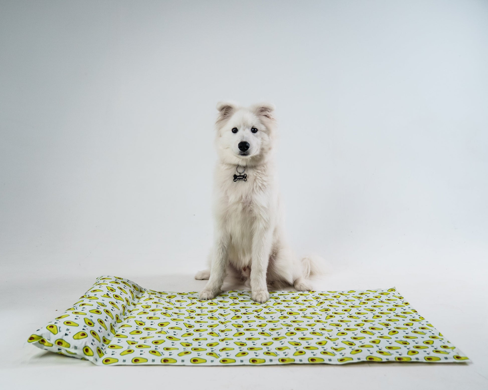 My Store dog cooling bed in a cozy, breathable design with a light blue color, perfect for hot days.